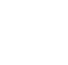 Universidad de Manizales